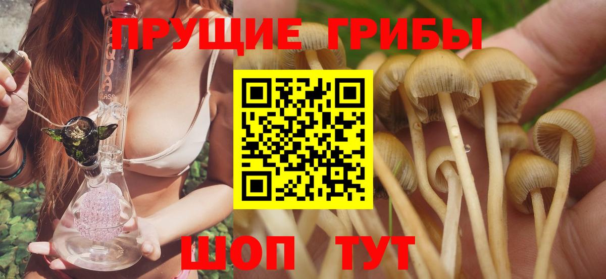где найти   Псилоцибиновые грибы MAGIC MUSHROOMS  Вход с VPN  Урюпинск 